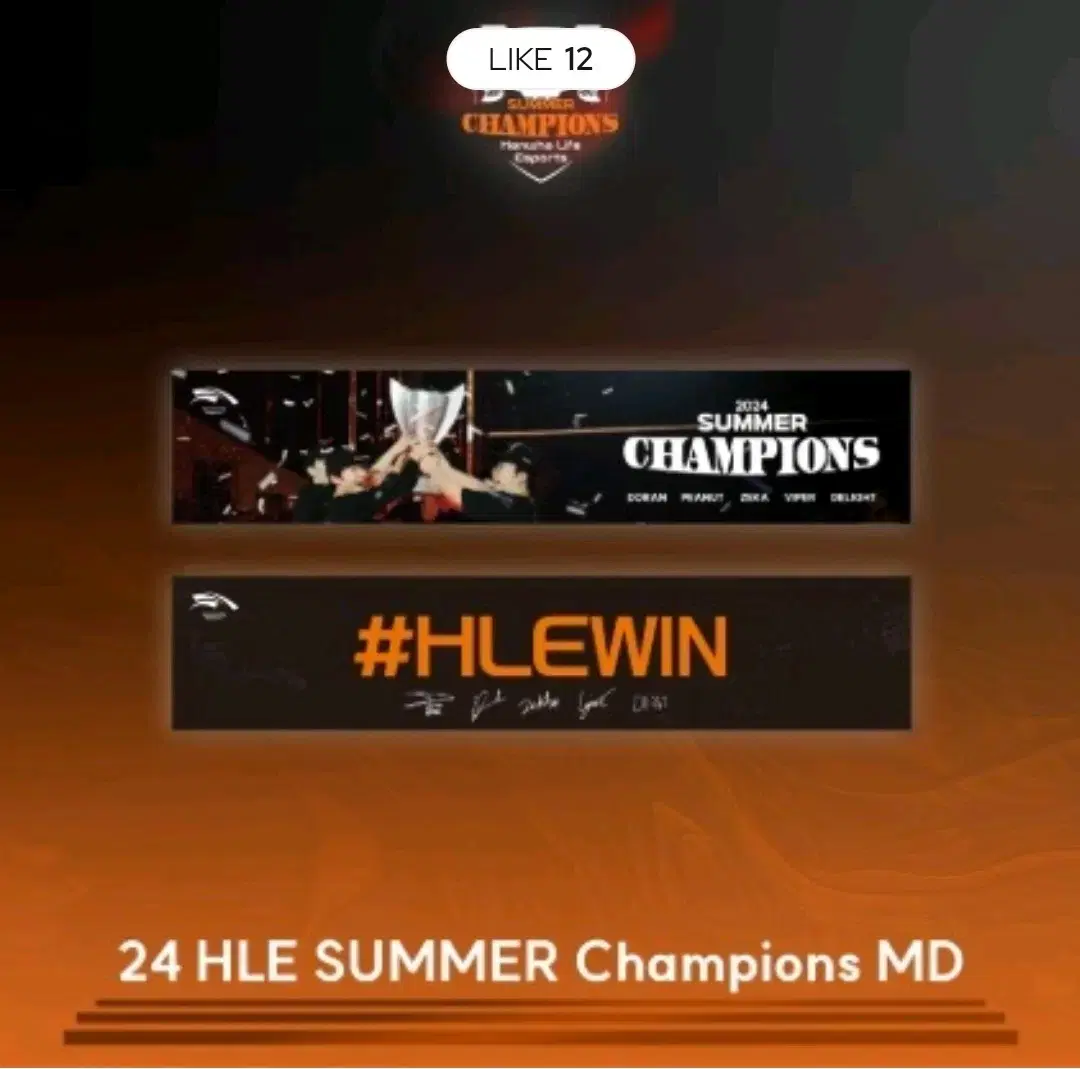 한화생명 HLE 24 SUMMER Champions Towel